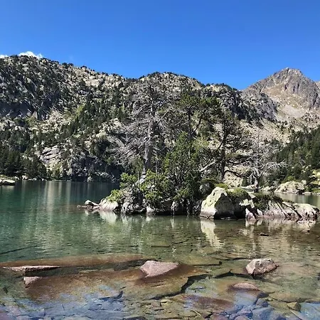 בקתה Casa De Fusta Al Cor Dels Pirineus Ribera de Montardit